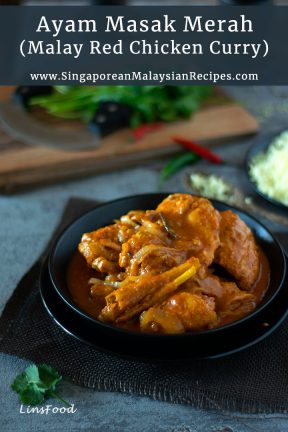 red chicken curry in a black bowl photo